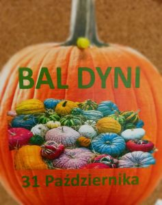 bal dyni