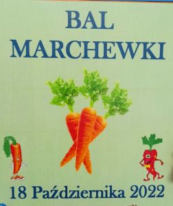 bal marchewki
